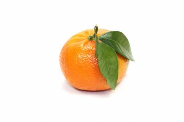 Mandarine Corse BIO