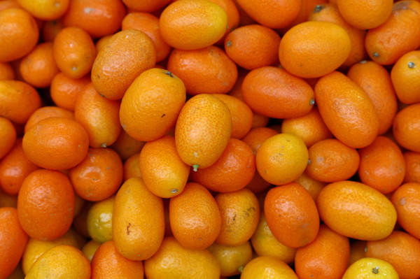 Kumquat Corse BIO